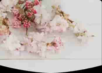 Photo de couverture de Lila 🔮