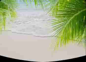 Photo de couverture de Evi